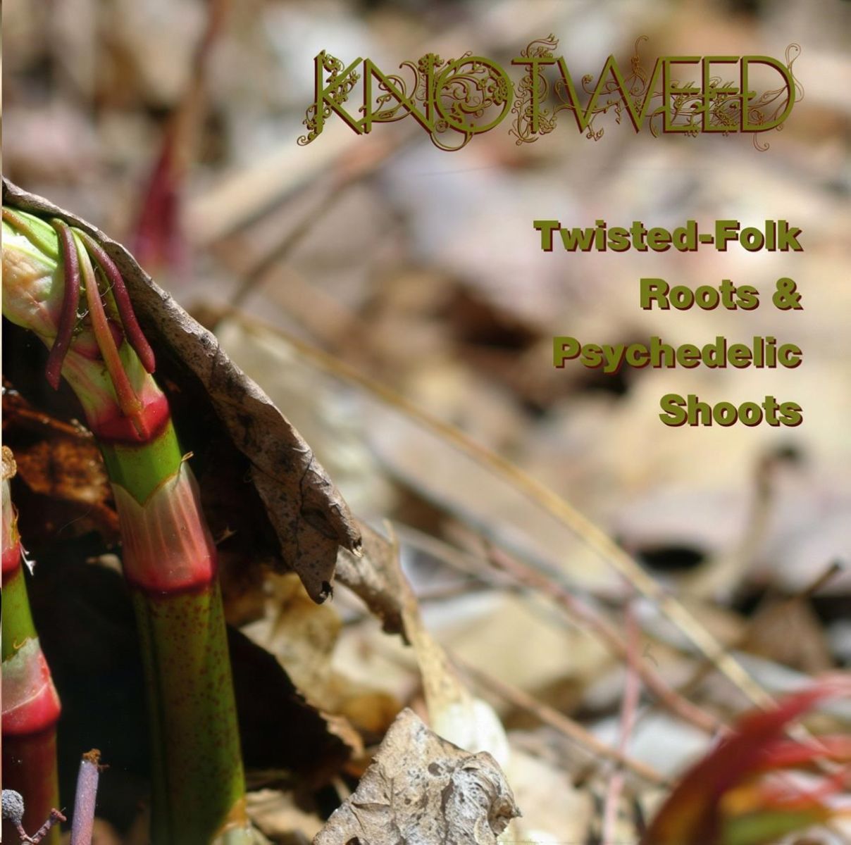 Afbeelding van Various Artists - Knotweed