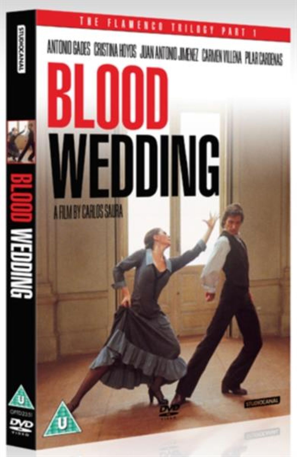 Afbeelding van Blood Wedding
