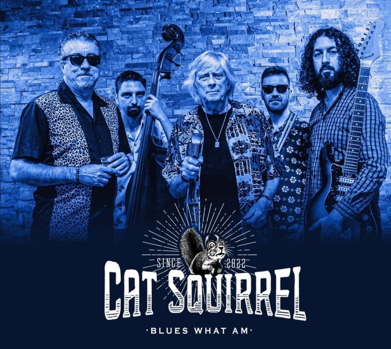 Afbeelding van Cat Squirrel - Blues What Am