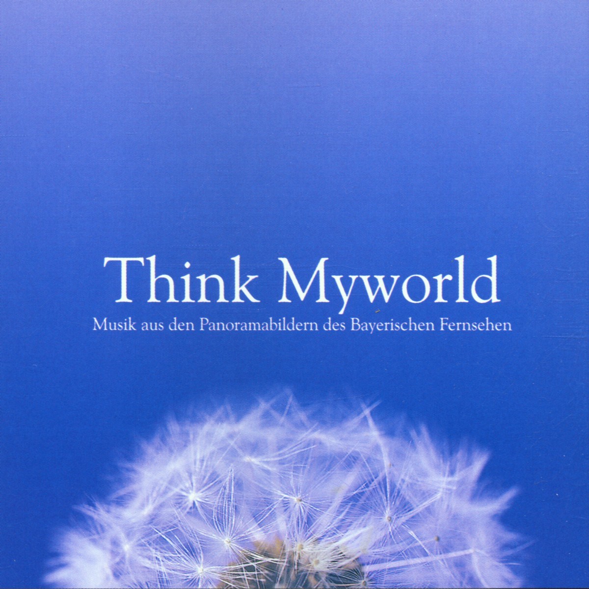 Various Artists - Think Myworld