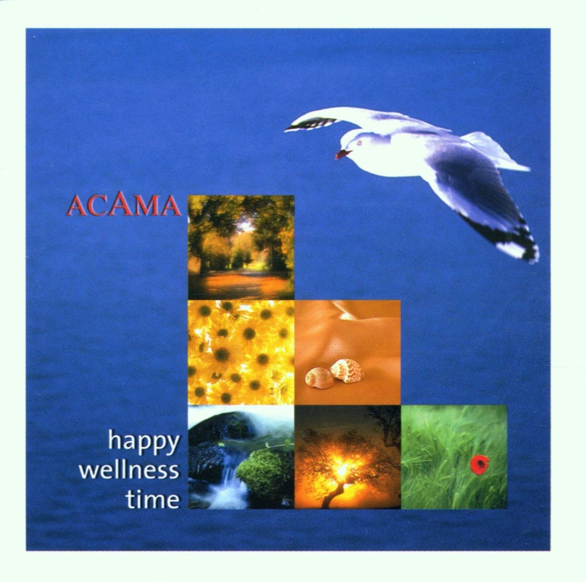 Afbeelding van Acama - Happy Wellness Time