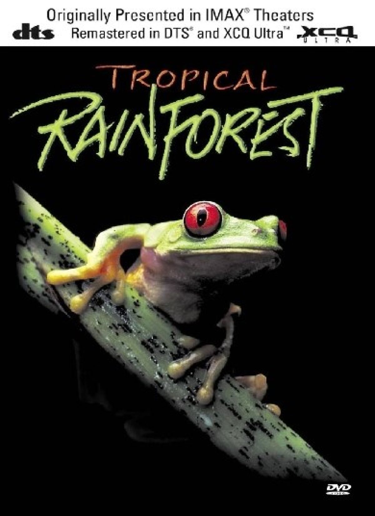 Afbeelding van Tropical Rainforest