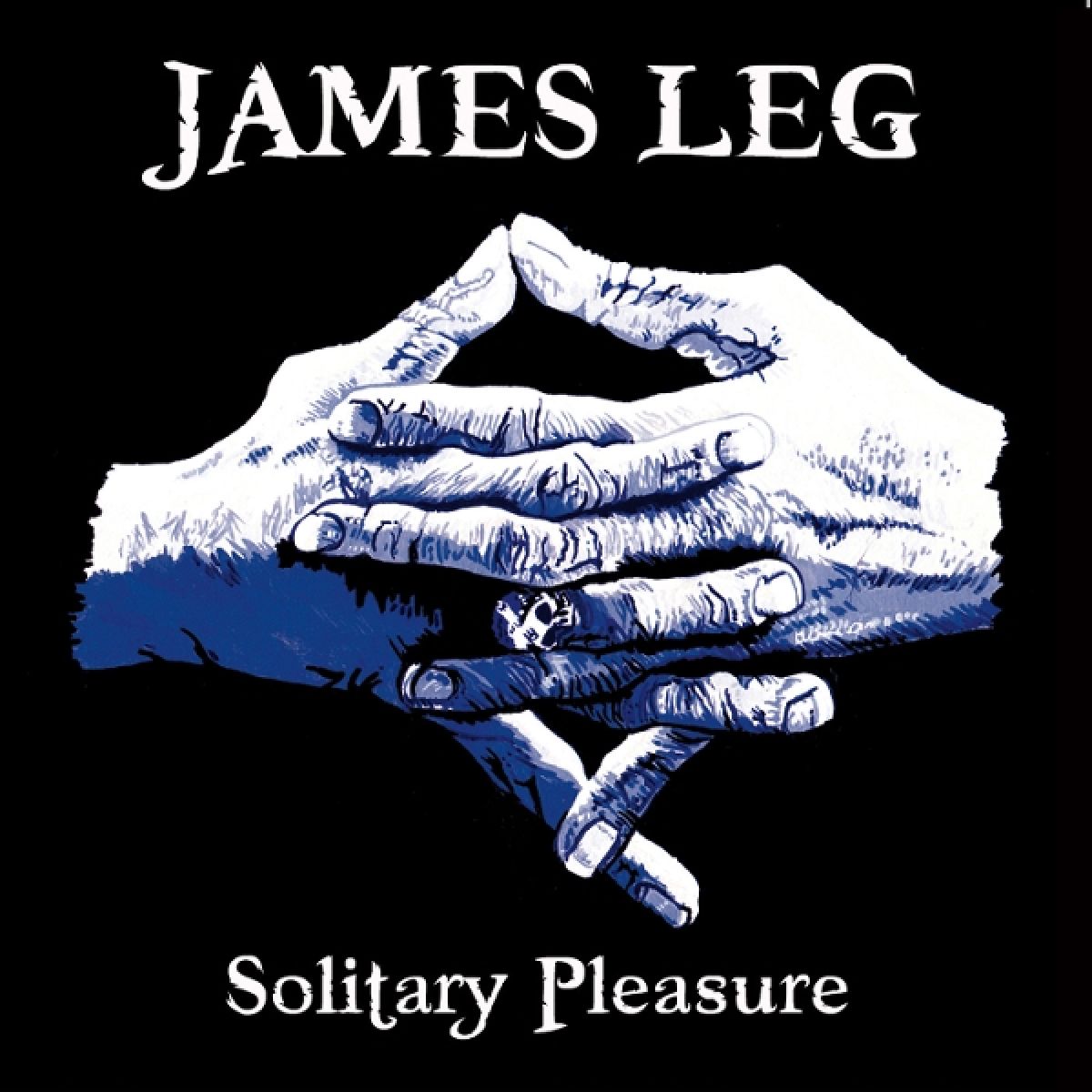 Afbeelding van James Leg - Solitary Pleasure