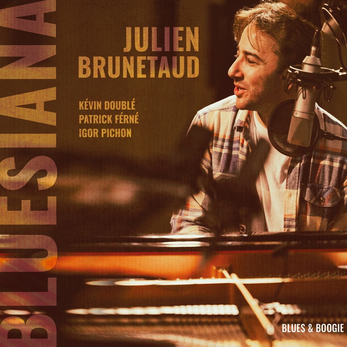 Afbeelding van Julien Brunetaud - Bluesiana