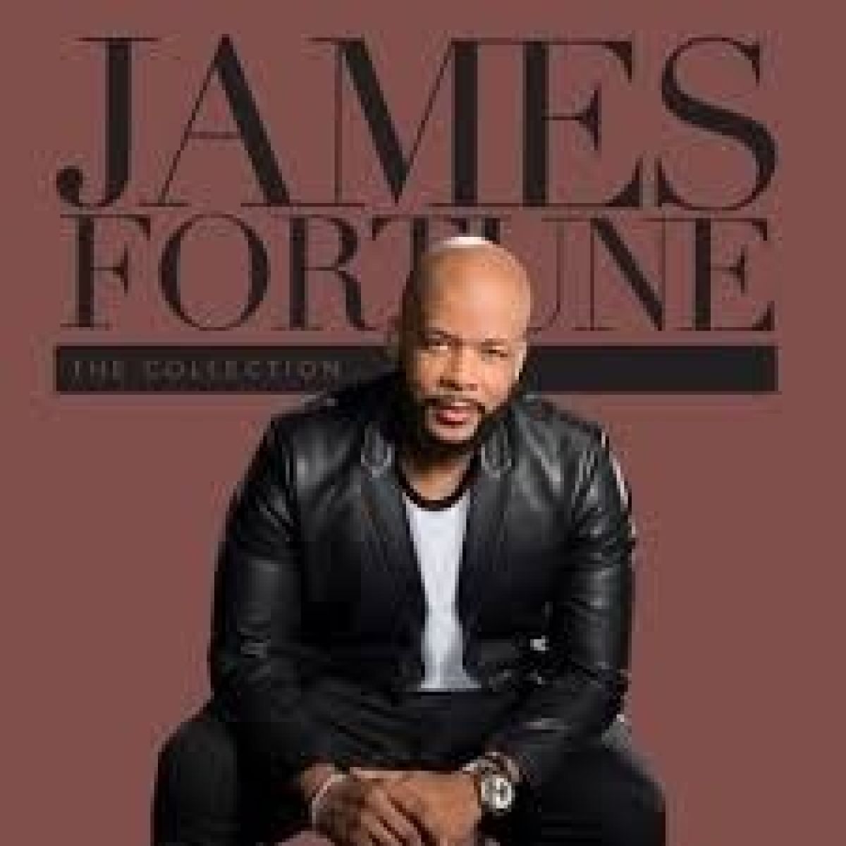Afbeelding van James Fortune - The Collection XIV