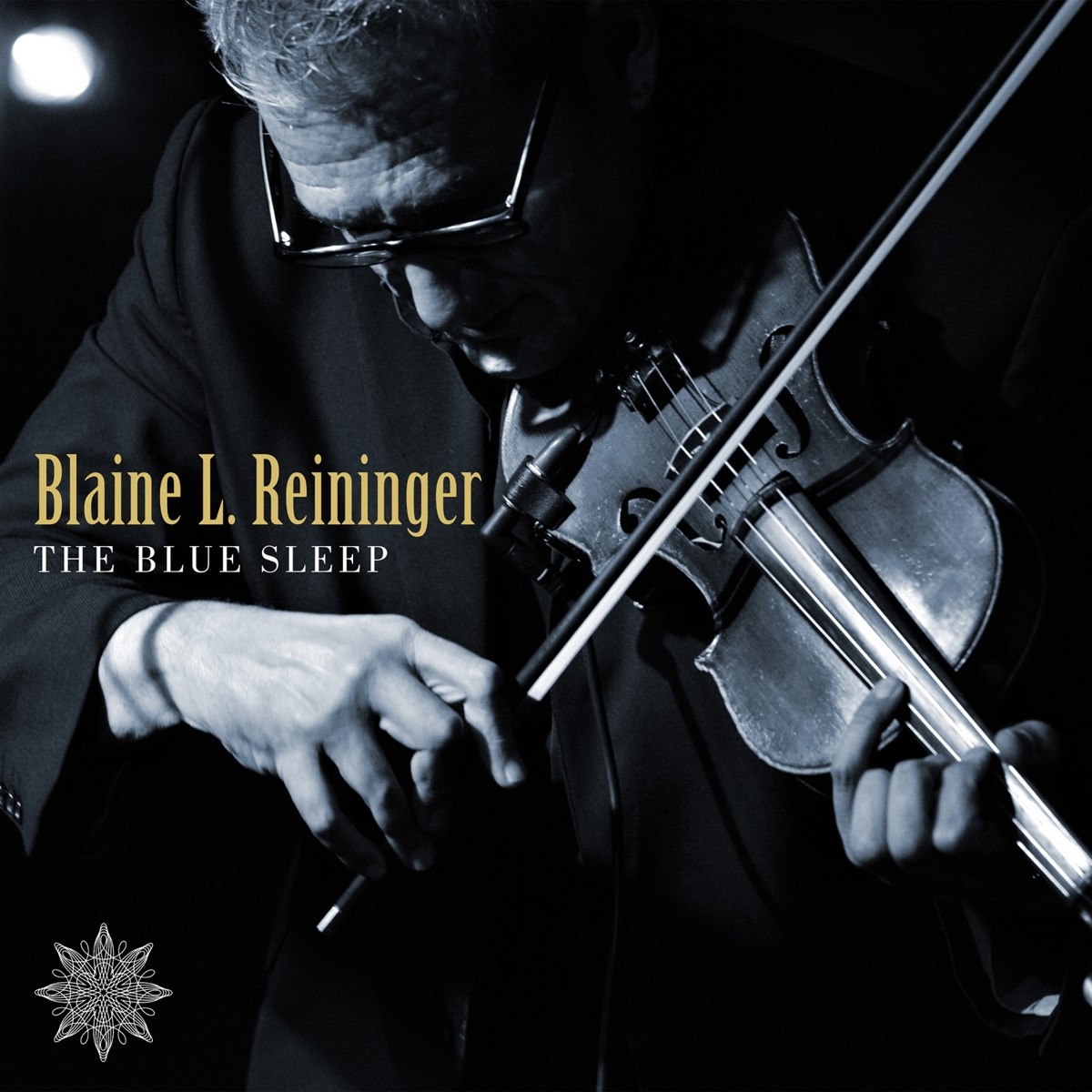 Afbeelding van Blaine L. Reininger - The Blue Sleep