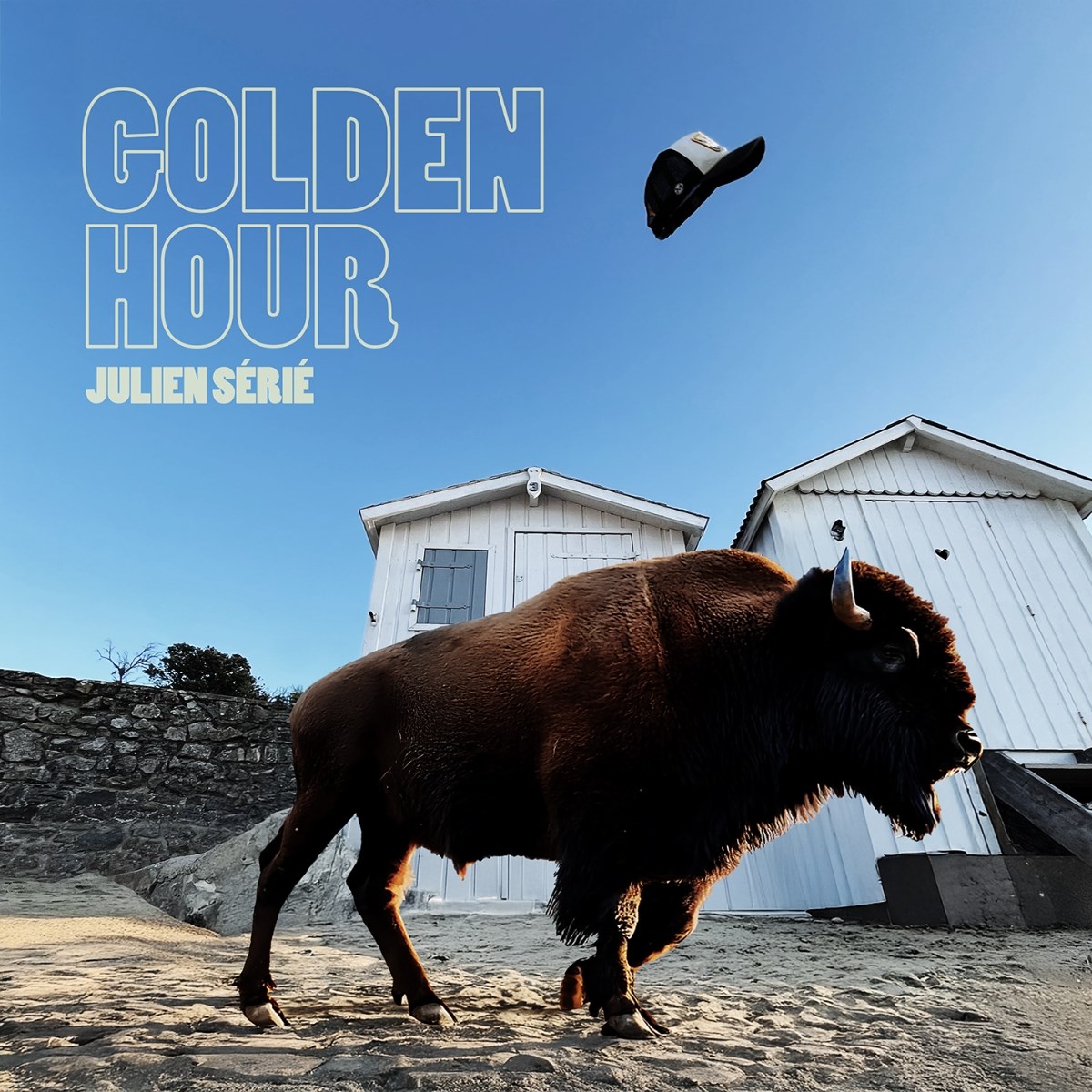 Afbeelding van Julien Erié - Golden Hour