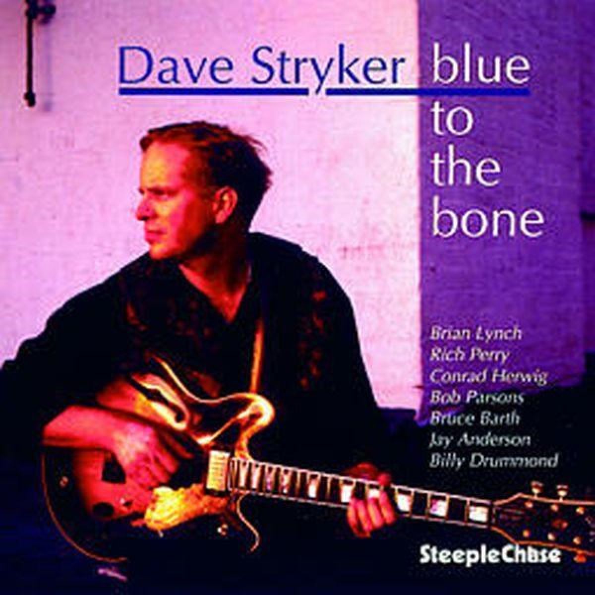 Afbeelding van Dave Stryker - Blue To The Bone