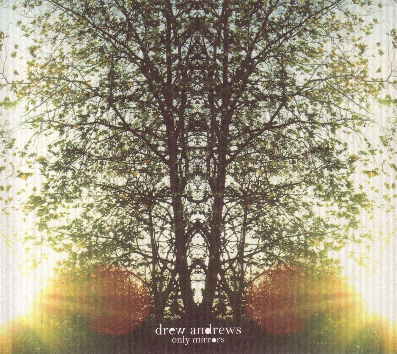 Afbeelding van Drew Andrews - Only Mirrors