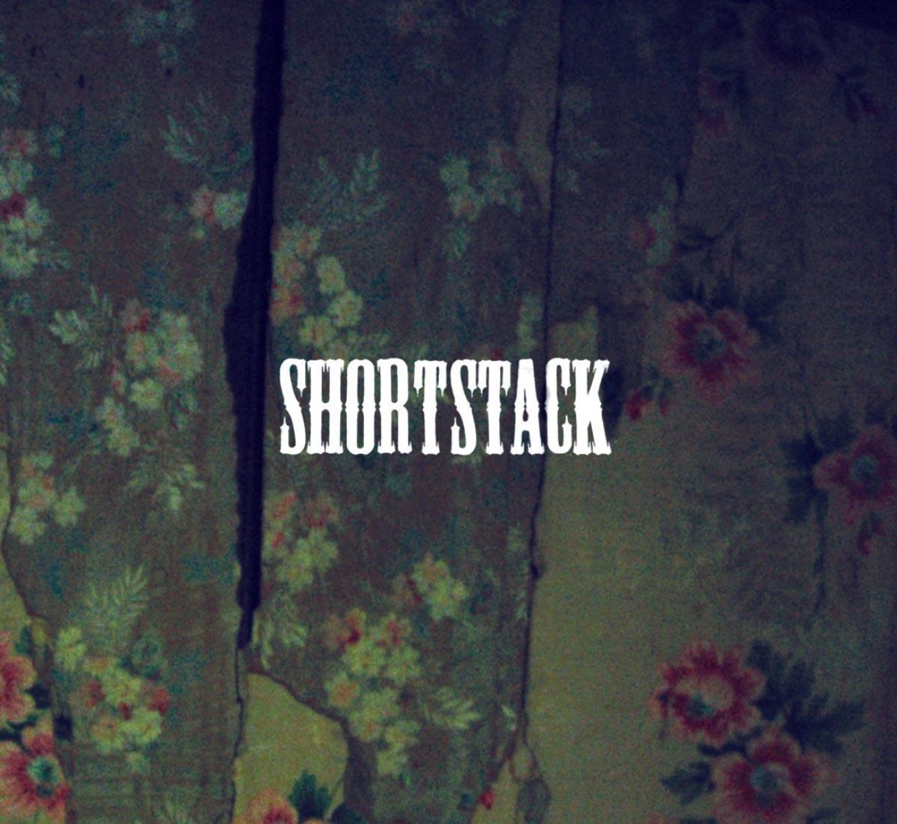 Afbeelding van Shortstack - The History Of Cut Nails In America