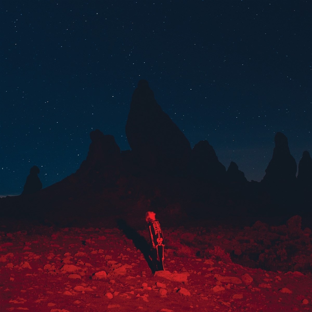 Afbeelding van Phoebe Bridgers - Punisher