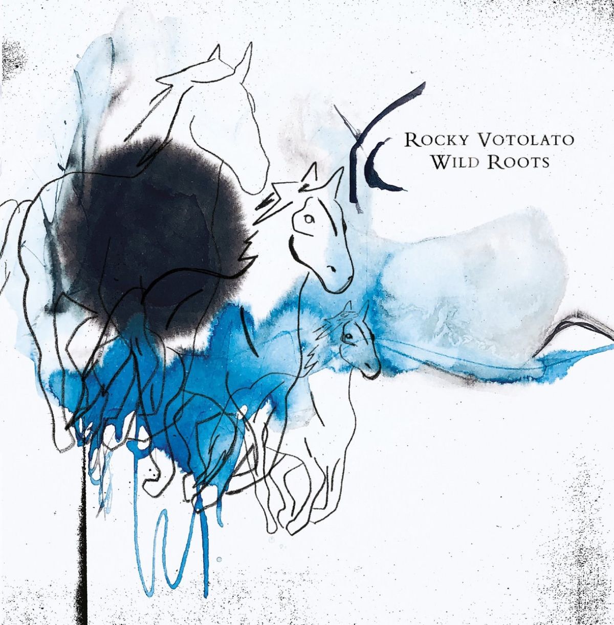 Afbeelding van Rocky Votolato - Wild Roots