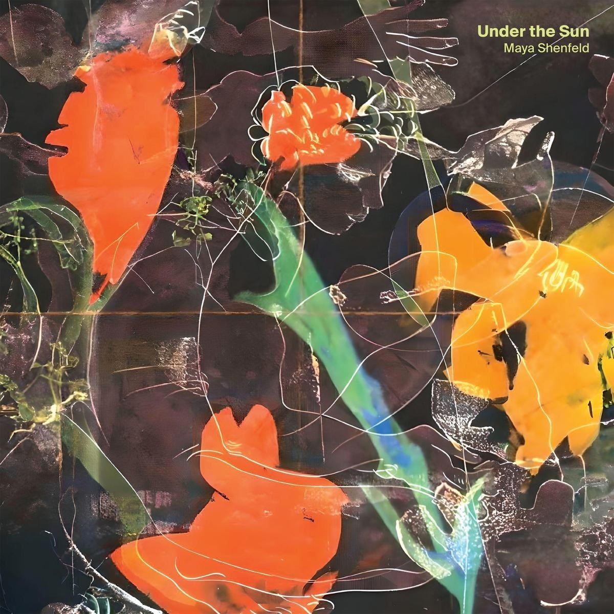 Afbeelding van Maya Shenfeld - Under The Sun