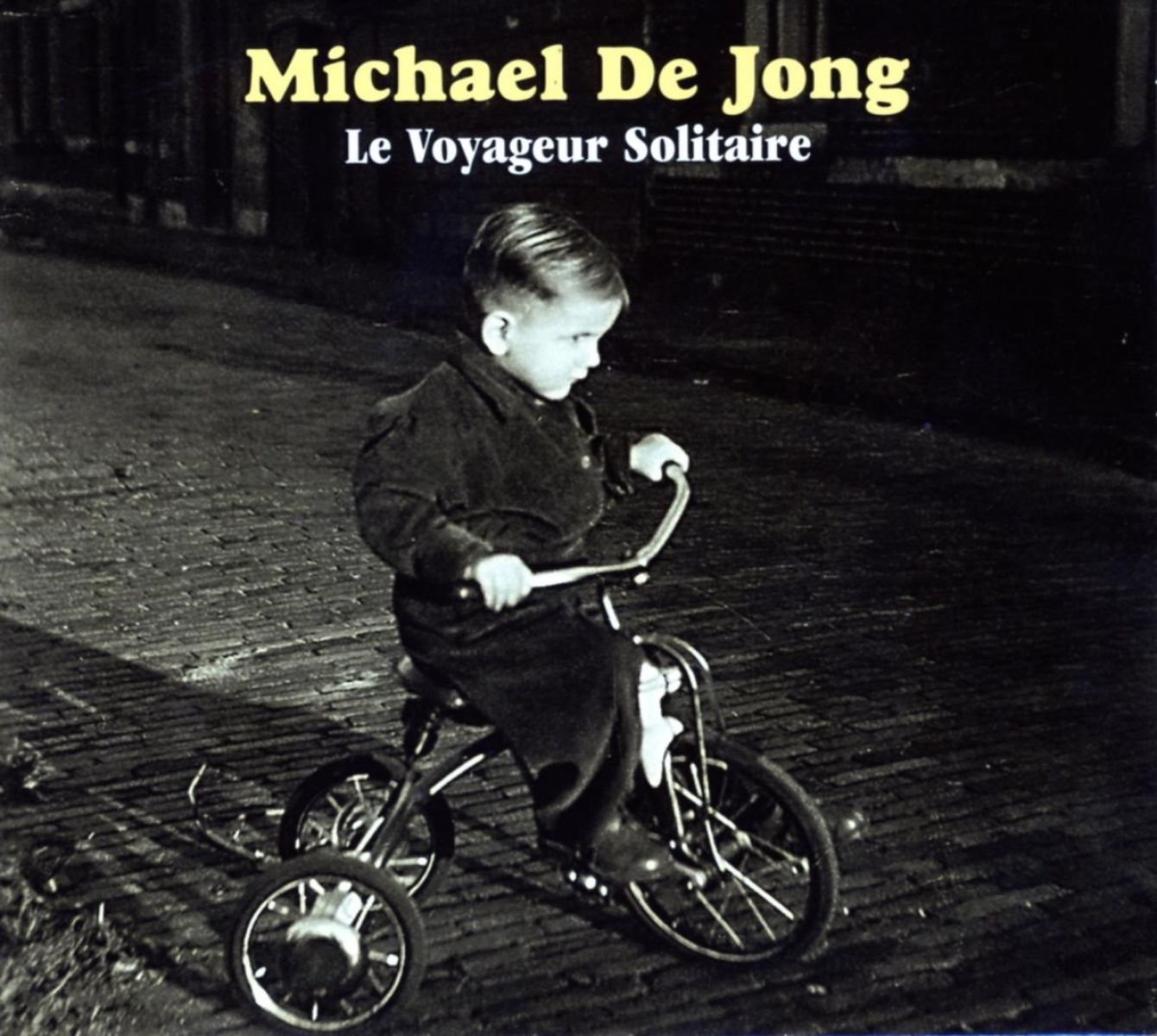 Afbeelding van Michael De Jong - Le Voyageur Solitaire