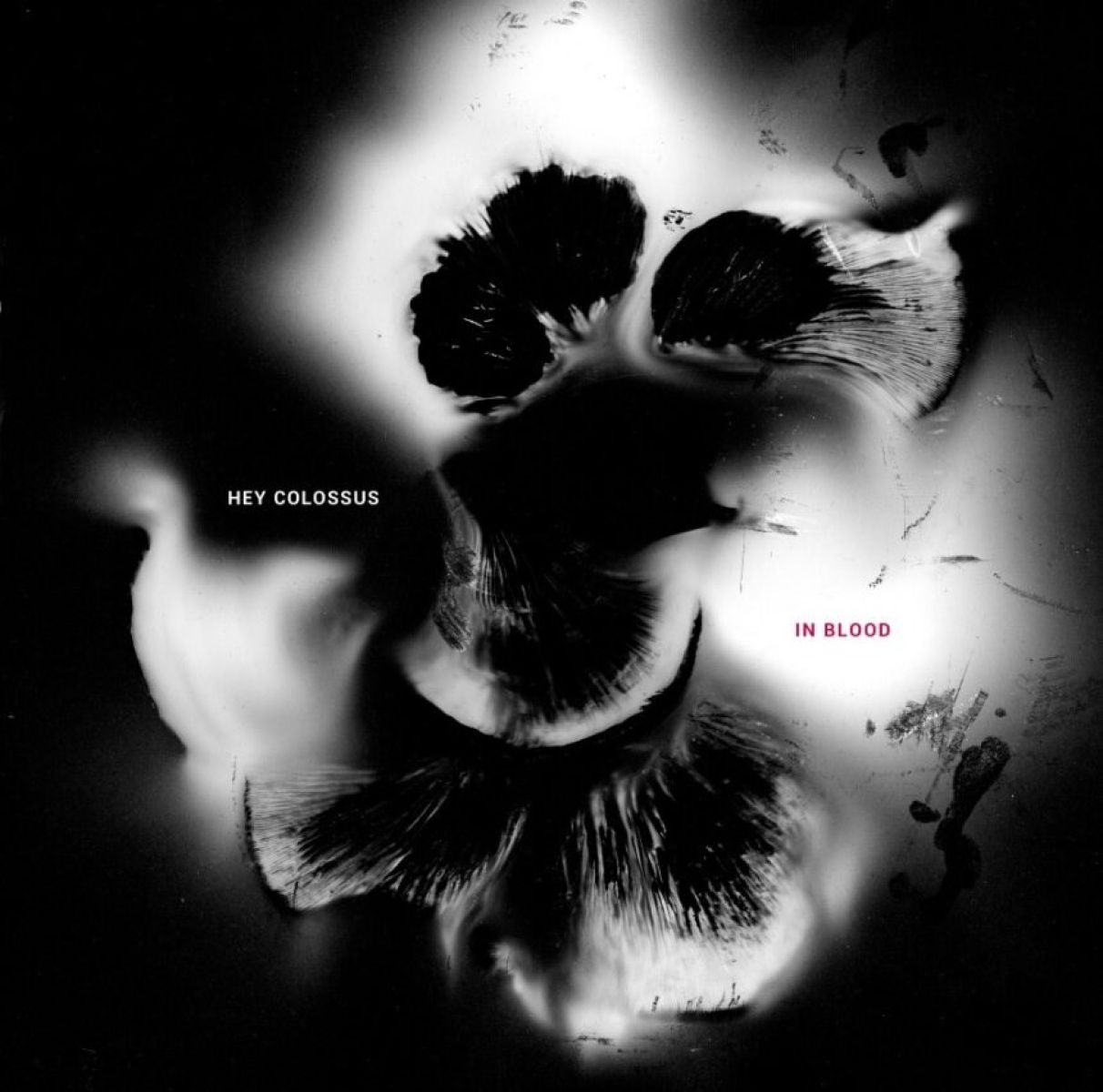 Afbeelding van Hey Colossus - In Blood