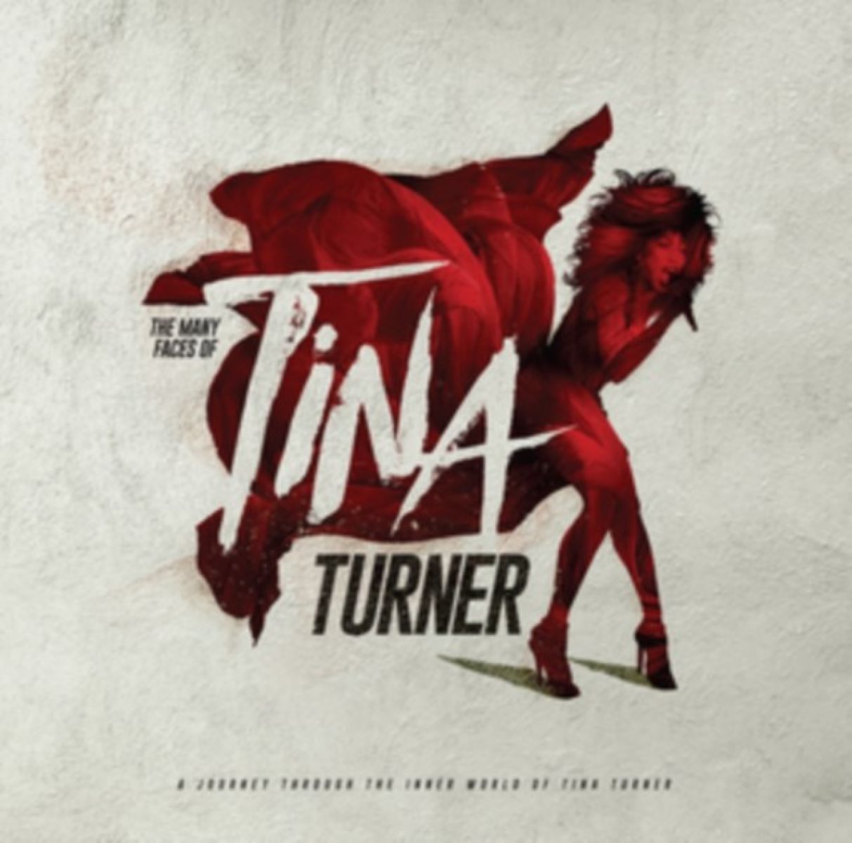 Various Artists - The Many Faces Of Tina Turner