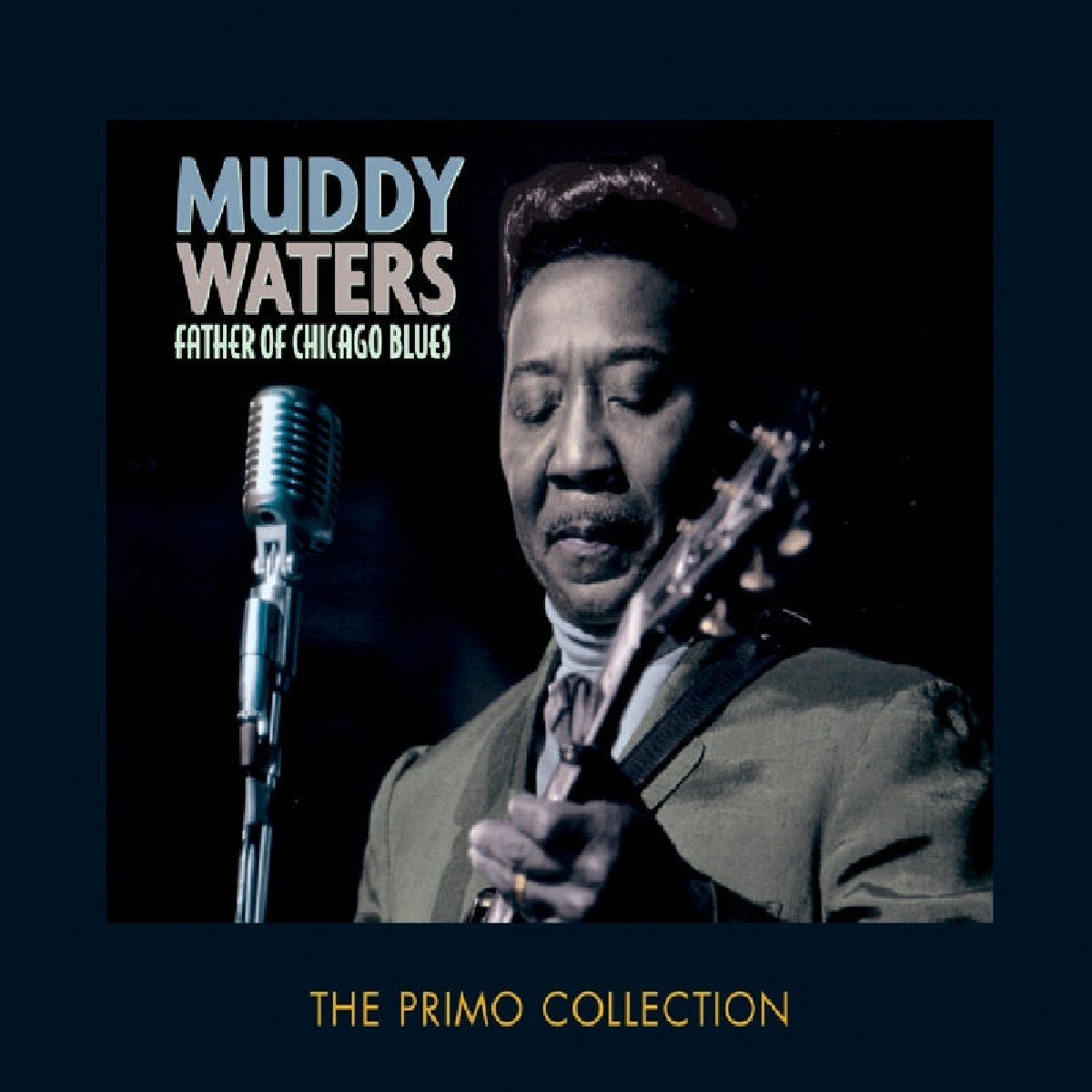 Afbeelding van Father Of Chicago Blues
