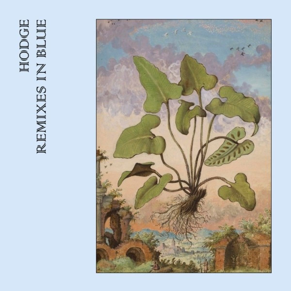 Afbeelding van Hodge - Remixes In Blue