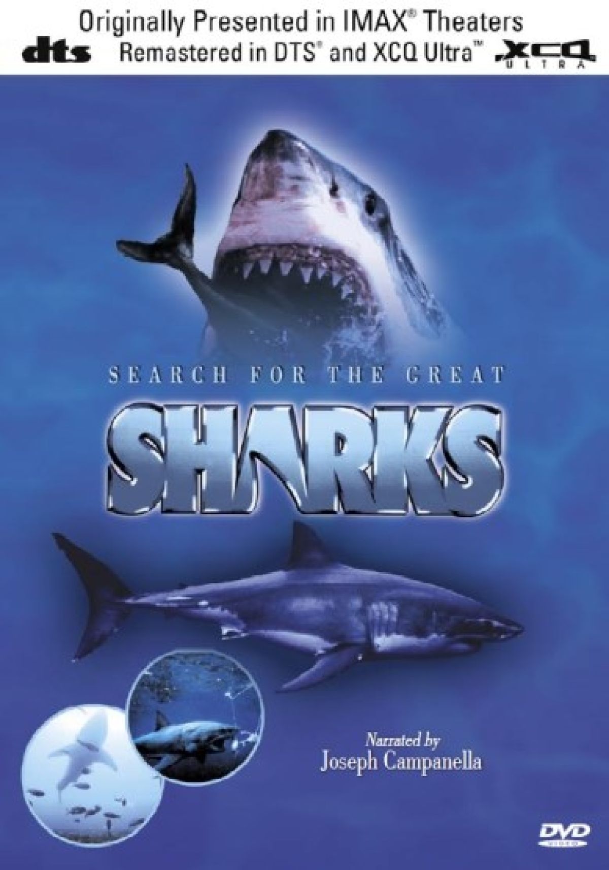 Afbeelding van Search For The great sharks
