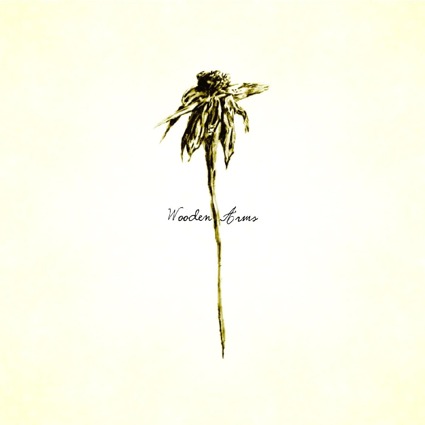 Afbeelding van Patrick Watson - Wooden Arms