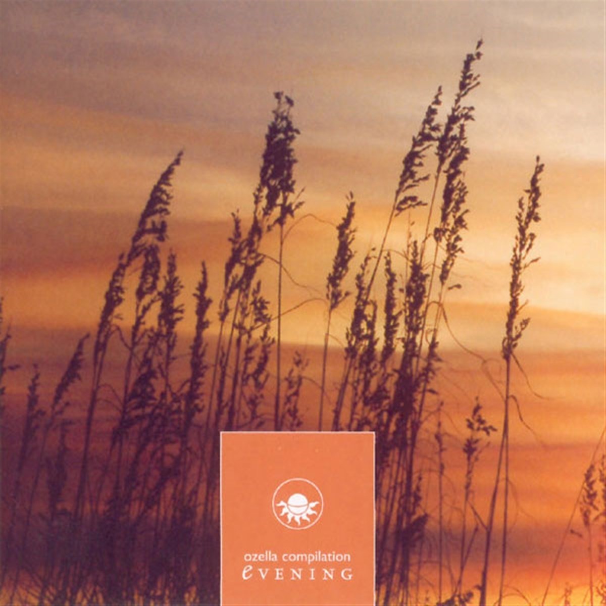 Afbeelding van Various Artists - Evening - Ozella Compilation