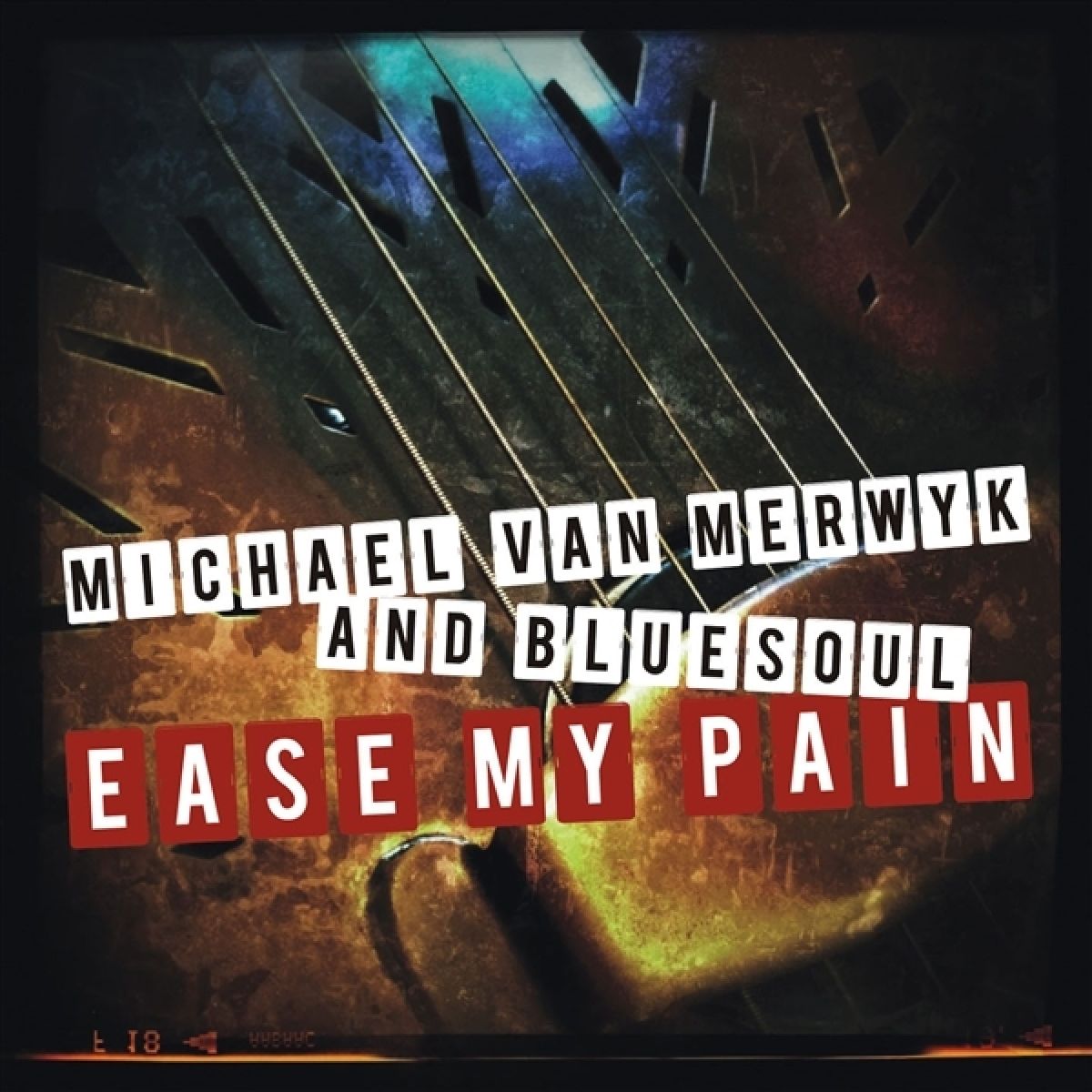 Afbeelding van Michael Van Merwyk & Bluesoul - Easy My Pain