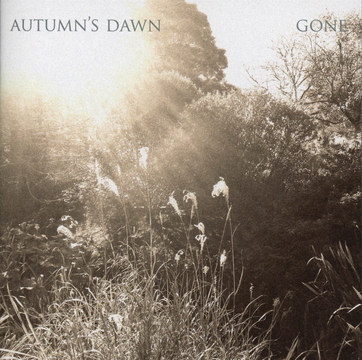 Afbeelding van Autumn's Dawn - Gone