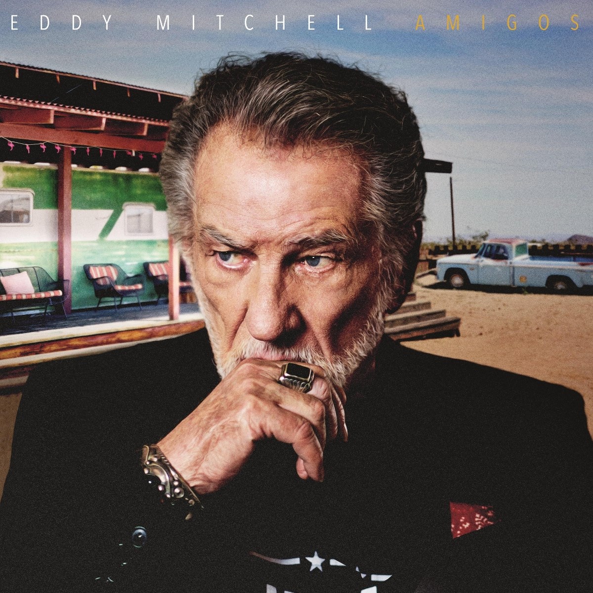 Afbeelding van Eddy Mitchell - Amigos