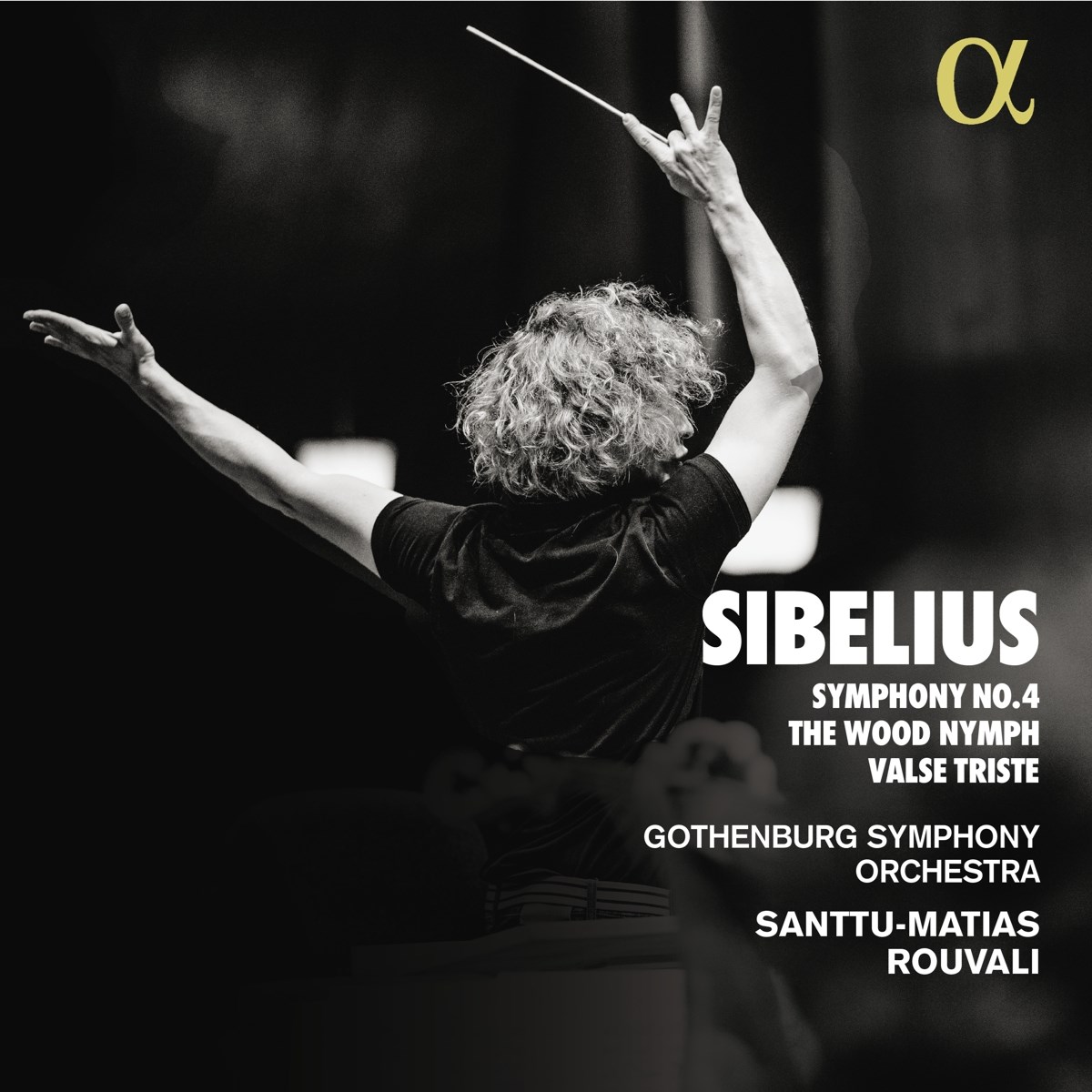 Afbeelding van Santtu-Matias Rouvali, Gothenburg Symphony Orchestra - Sibelius: Symphony No. 4 | The Wood Nymph | Valse Triste