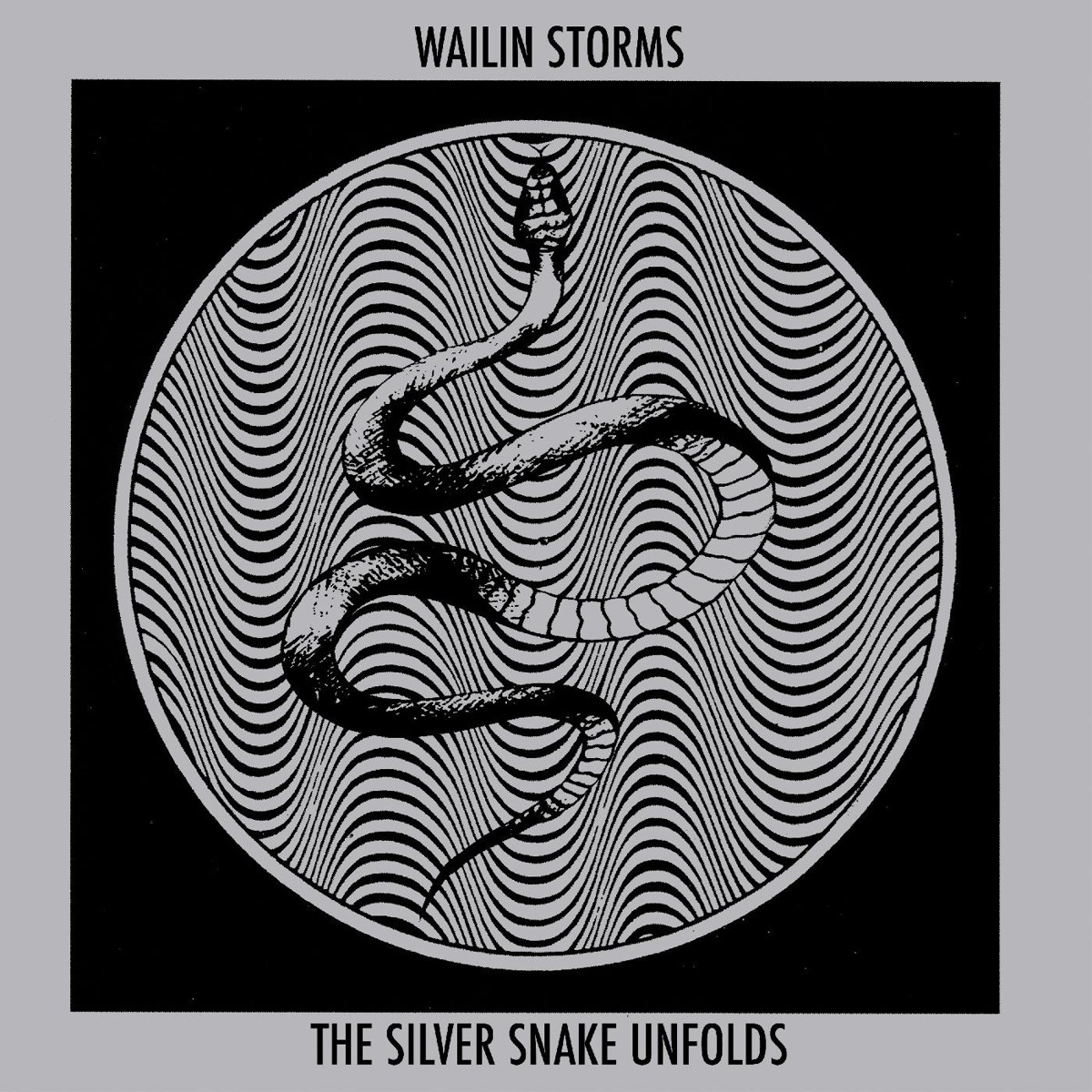Afbeelding van Silver Snake Unfolds