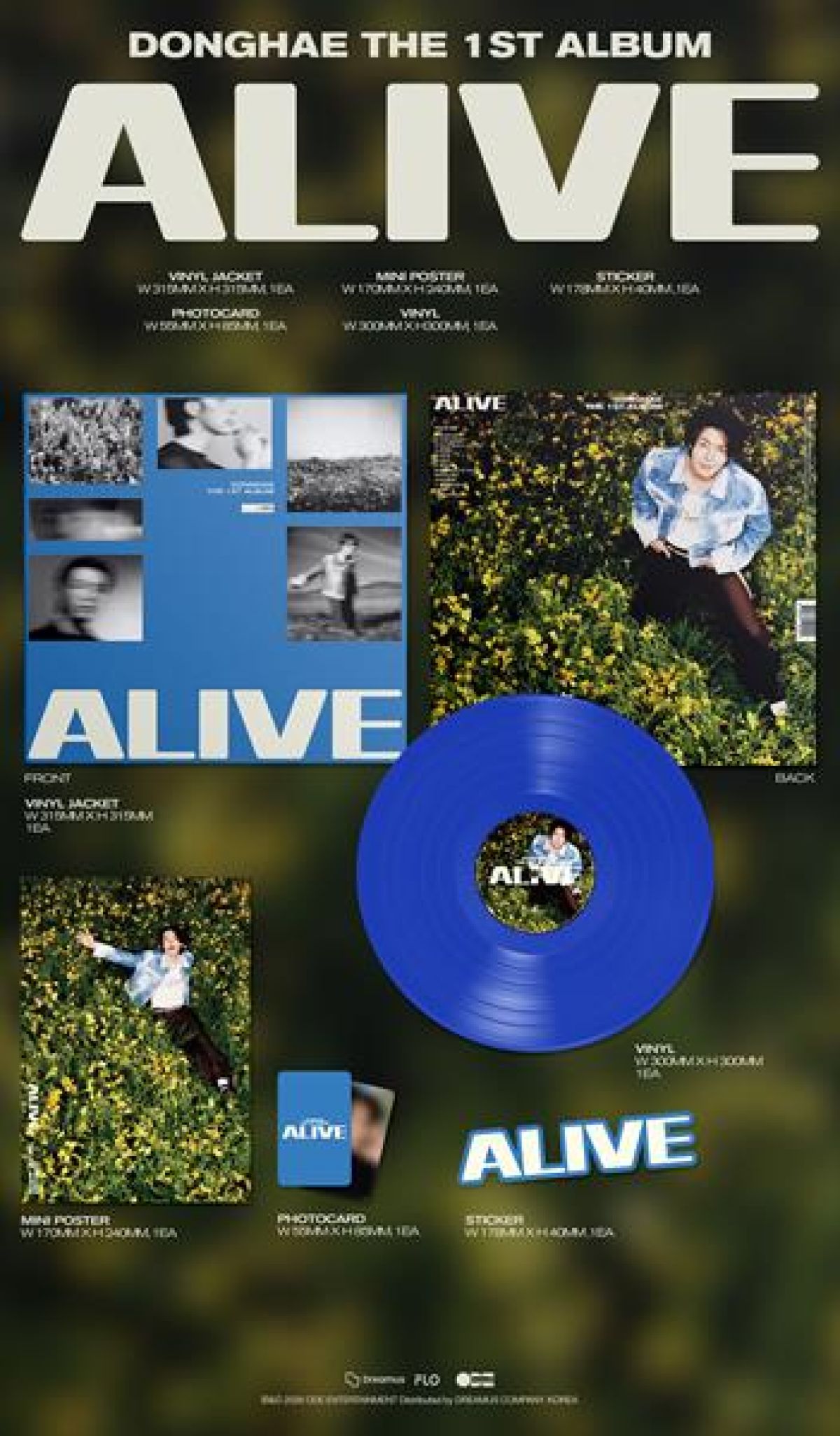 Afbeelding van Alive