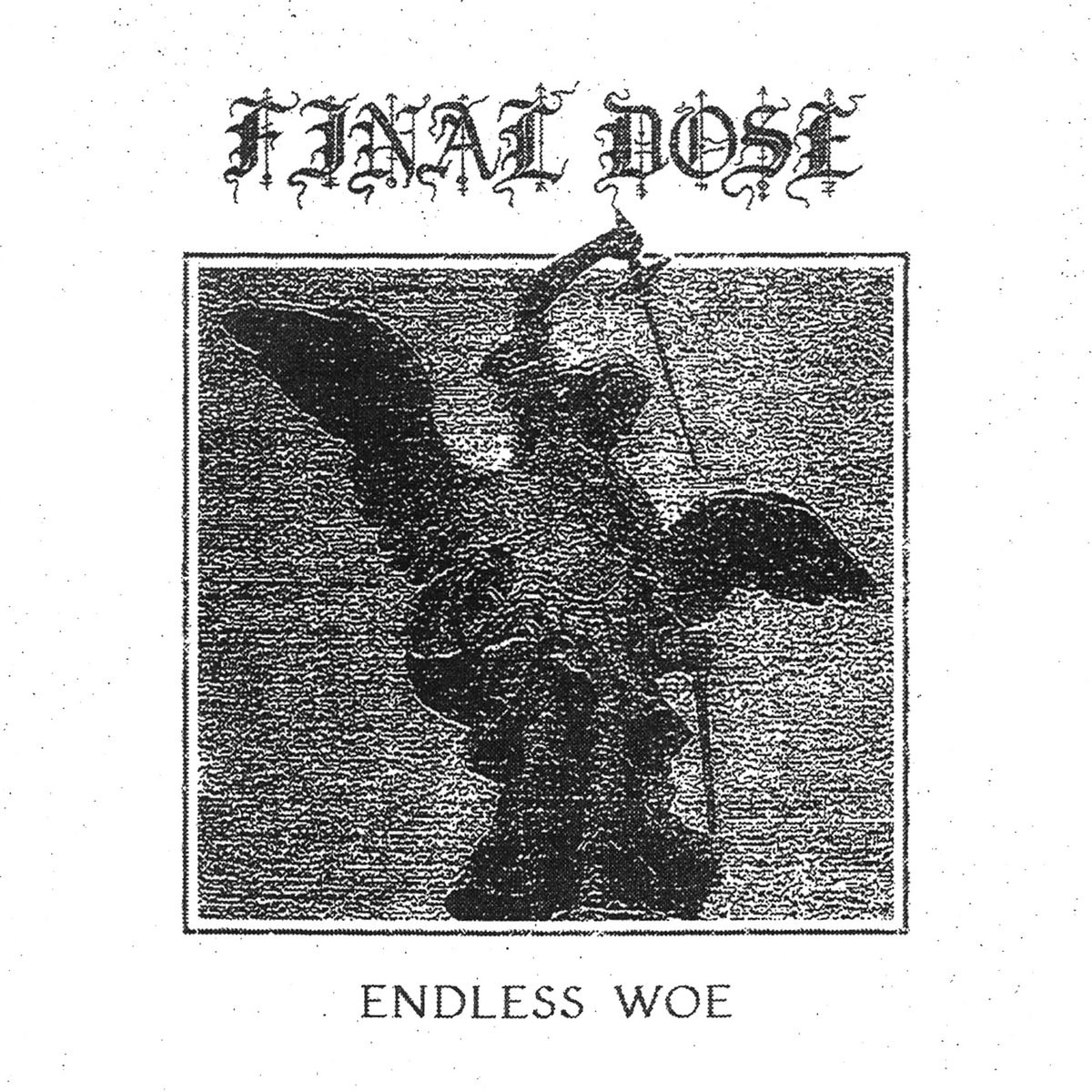 Afbeelding van Final Dose - Endless Woe