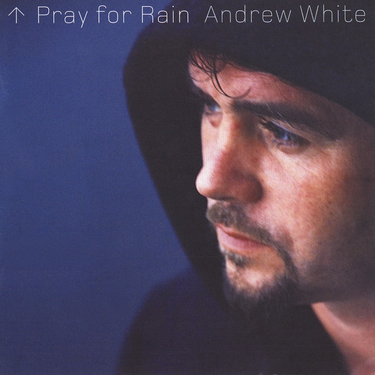 Afbeelding van Andrew White - Pray For Rain