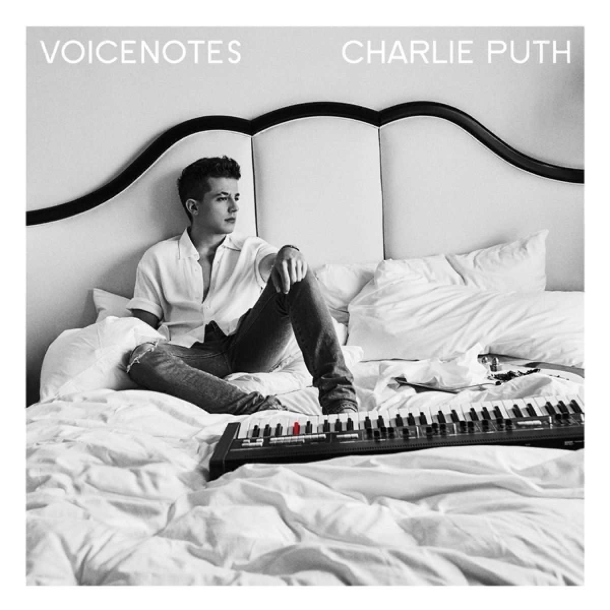 Afbeelding van Voicenotes