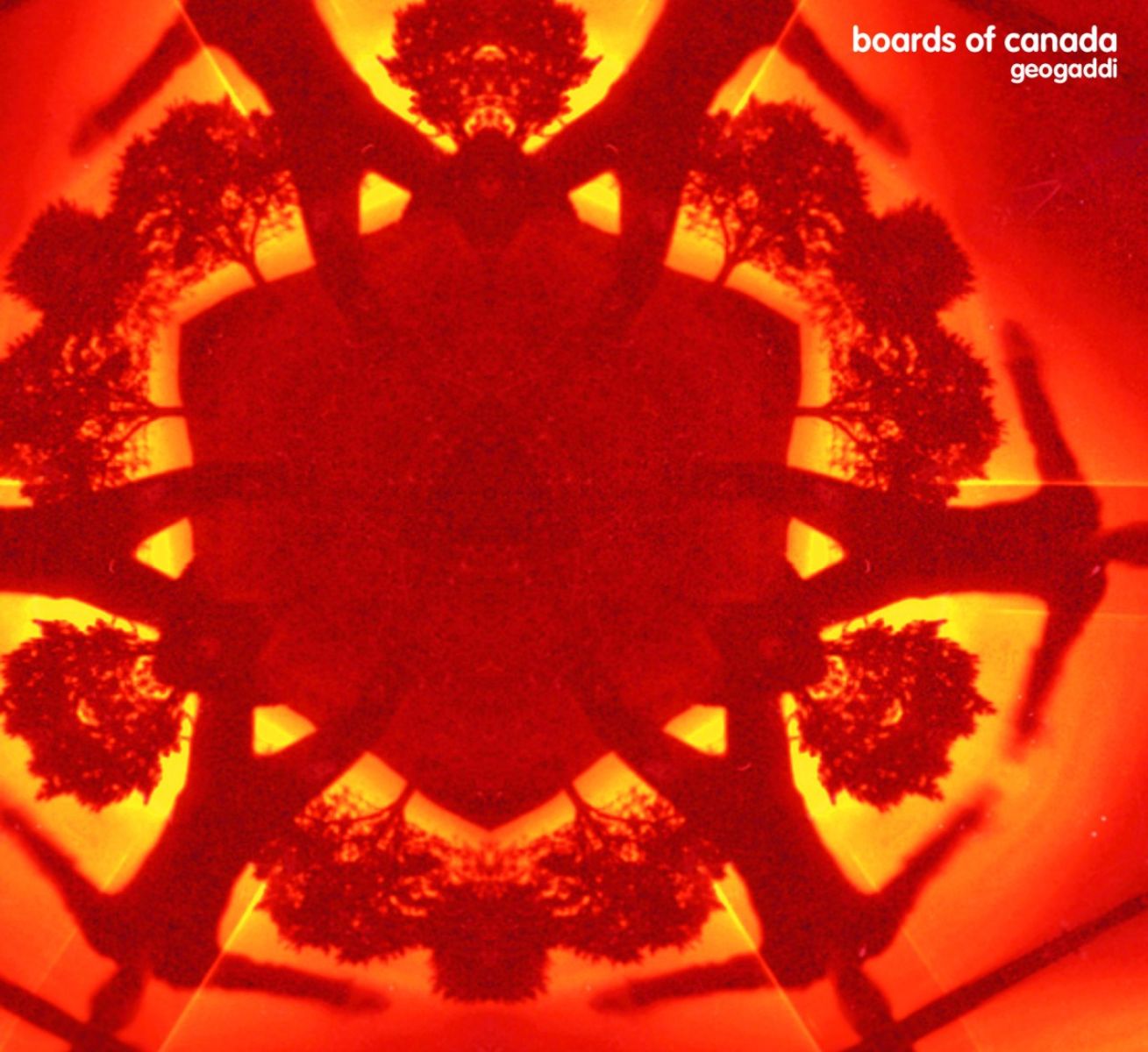 Afbeelding van Boards Of Canada - Geogaddi