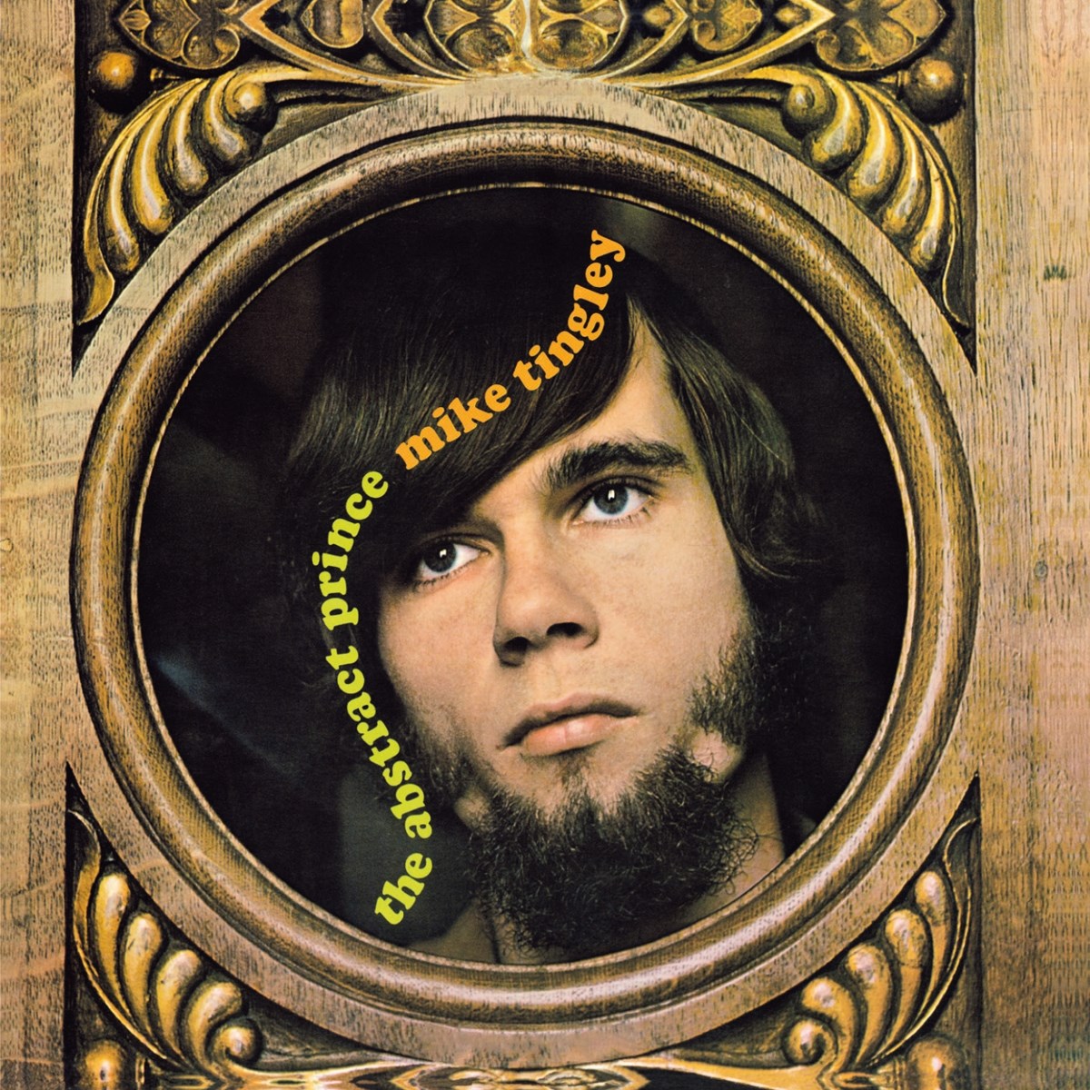 Afbeelding van Mike Tingley - The Abstract Prince