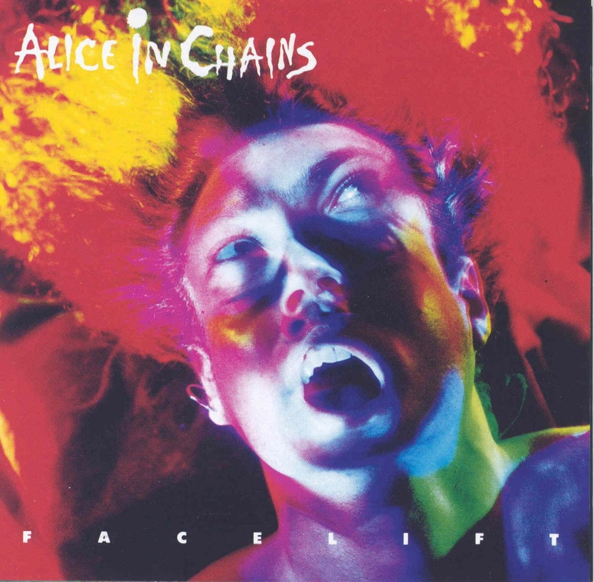 Afbeelding van Alice In Chains - Facelift
