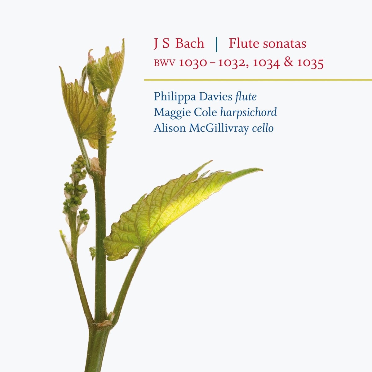 Afbeelding van Philippa Davies, Maggie Cole & Alison McGillivray - J.S. Bach: Flute Sonatas