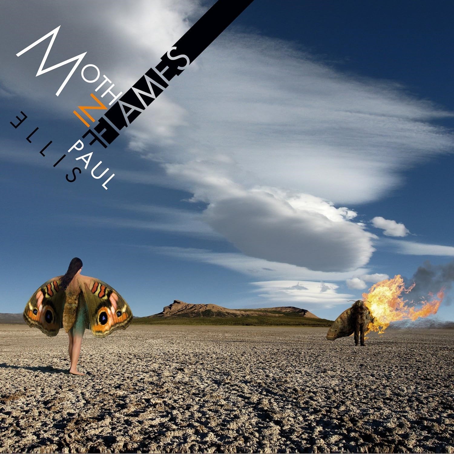 Afbeelding van Paul Ellis - Moth In Flames