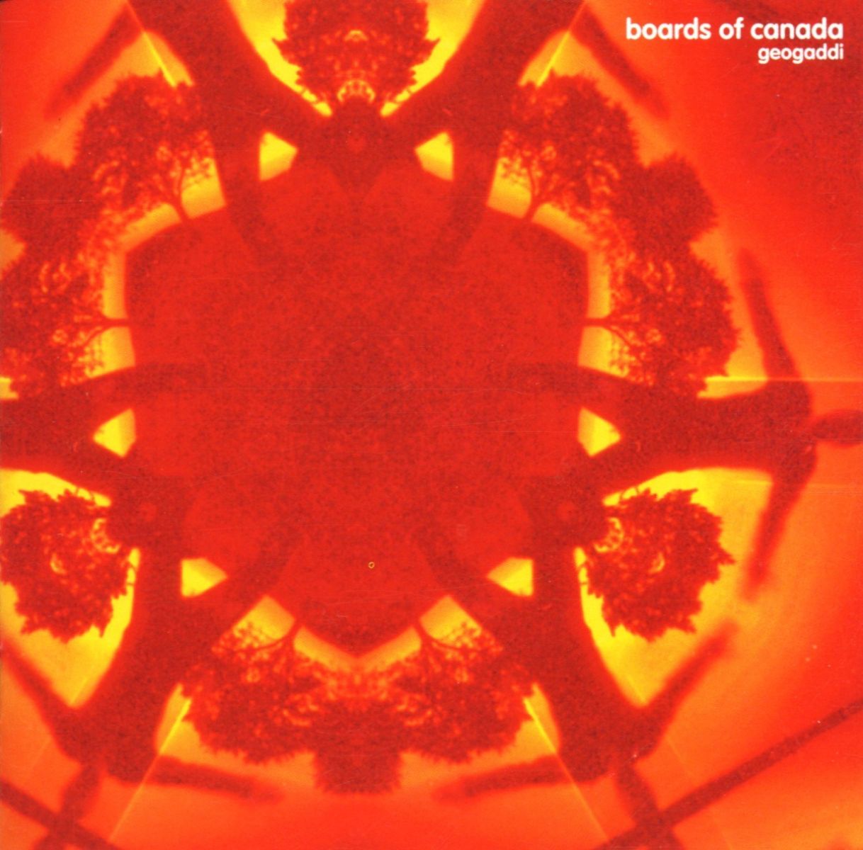Afbeelding van Boards Of Canada - Geogaddi