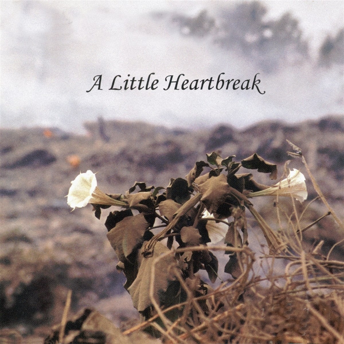 Jan Norris - A Little Heartbreak
