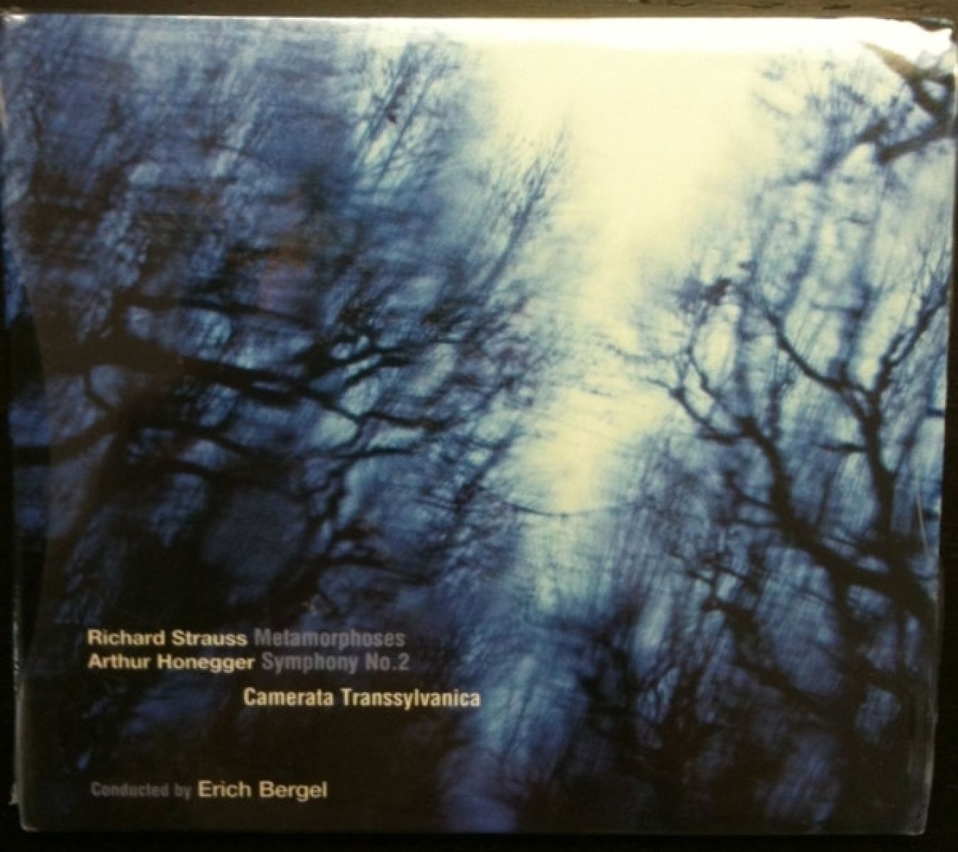 Erich Bergel & Camerata Transsylvanica - Strauss: Metamorphoses/Honegger: Symphony No. 2