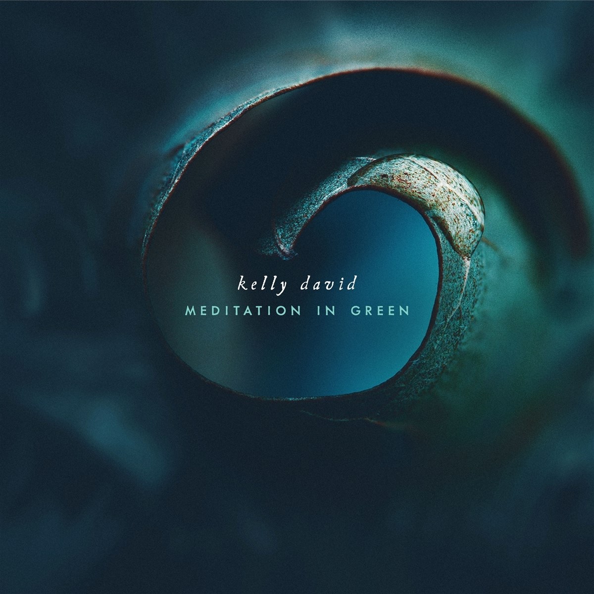 Afbeelding van Kelly David - Meditation In Green