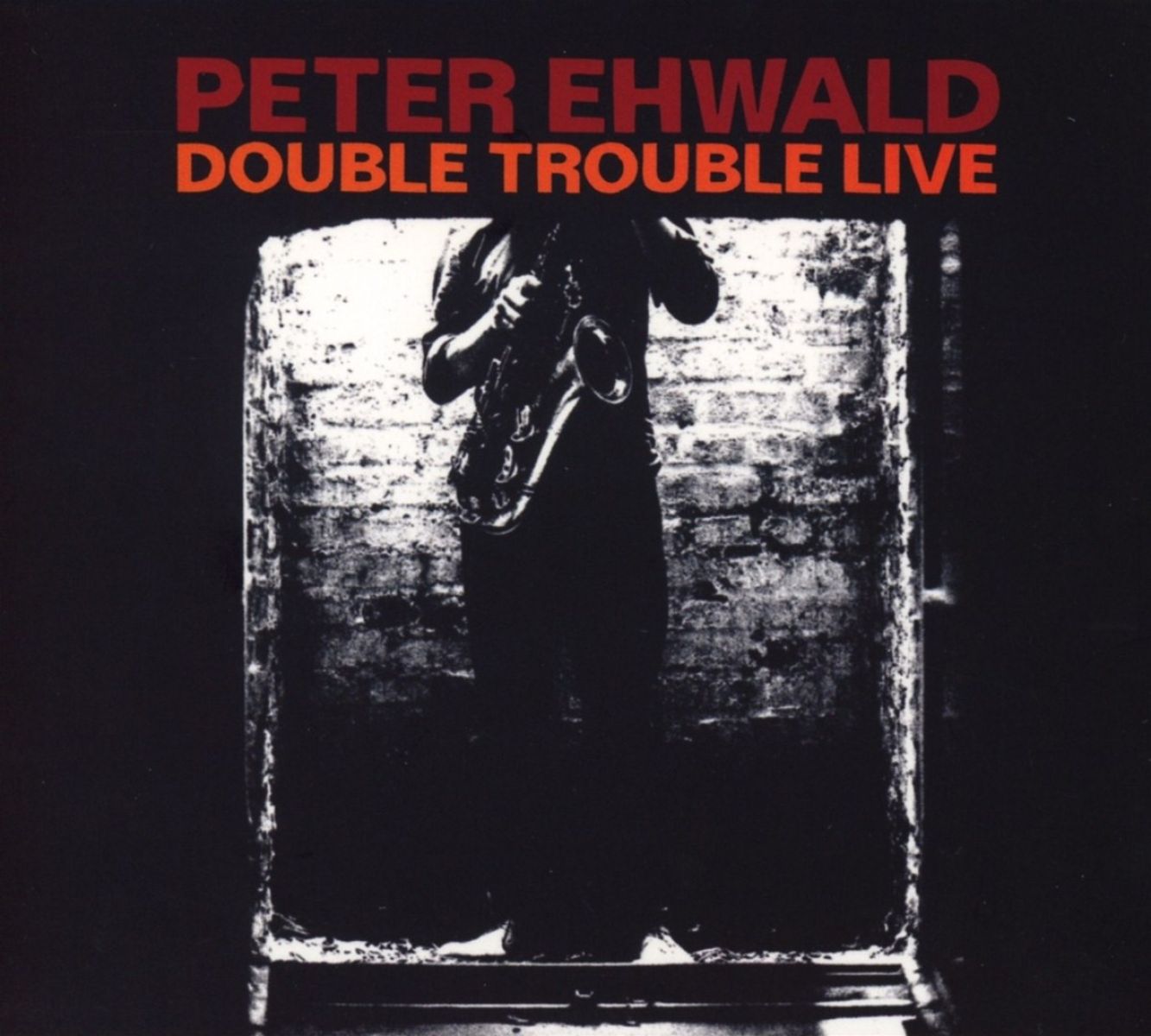 Afbeelding van Double Trouble Live