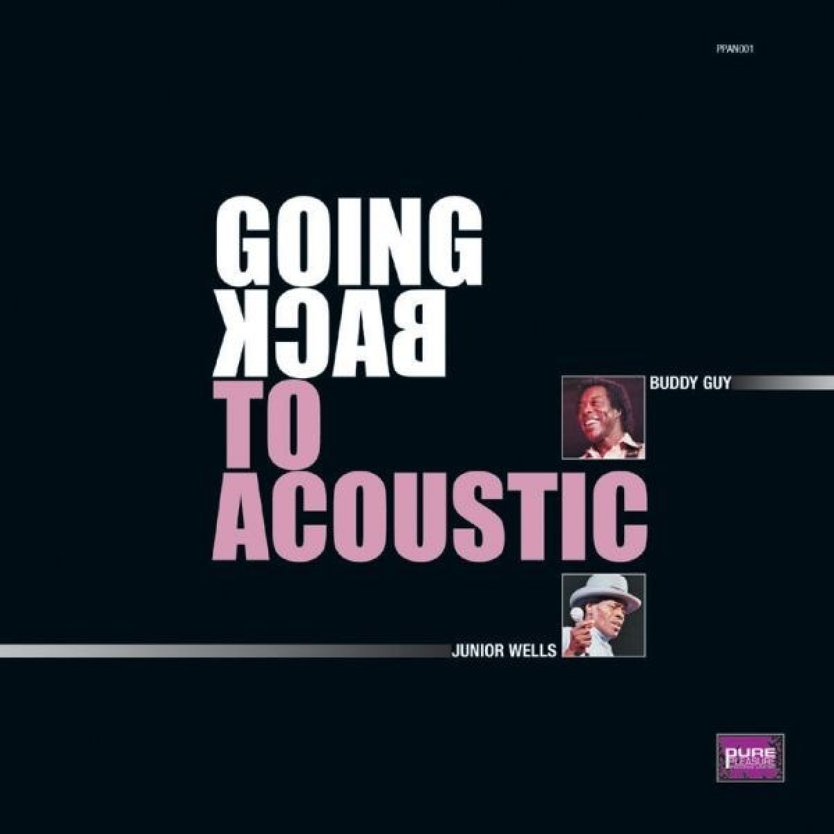 Buddy Guy & Junior Wells - Going Back To Acoustic