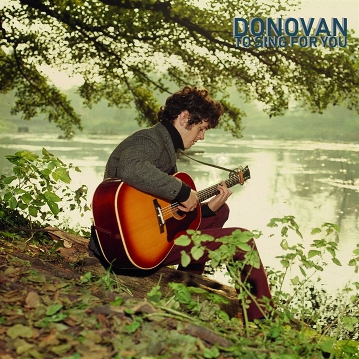 Afbeelding van Donovan - To Sing For You
