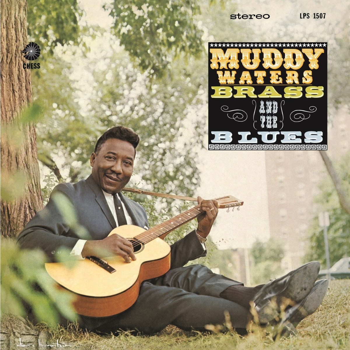 Afbeelding van Muddy Waters - Muddy, Brass And The Blues