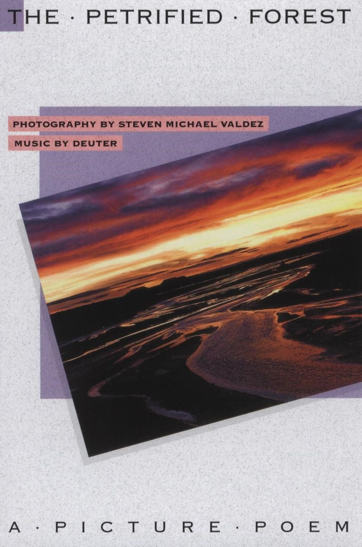 Afbeelding van Steven Michael & Deu Valdez - The Petrified Forest