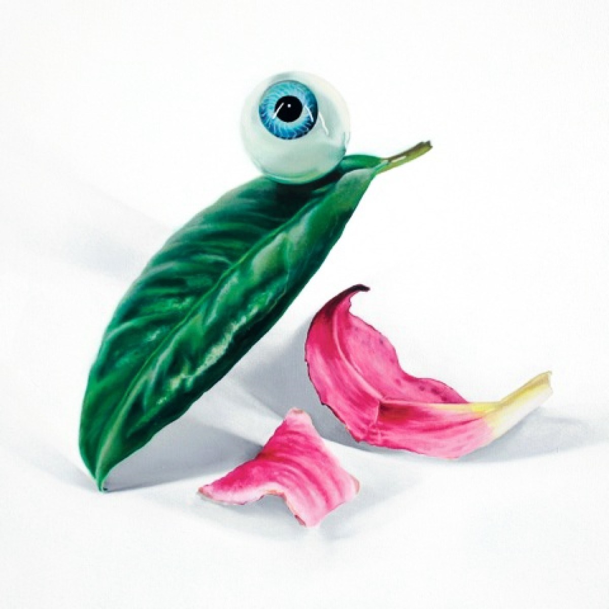 Afbeelding van Dels - Petals Have Fallen