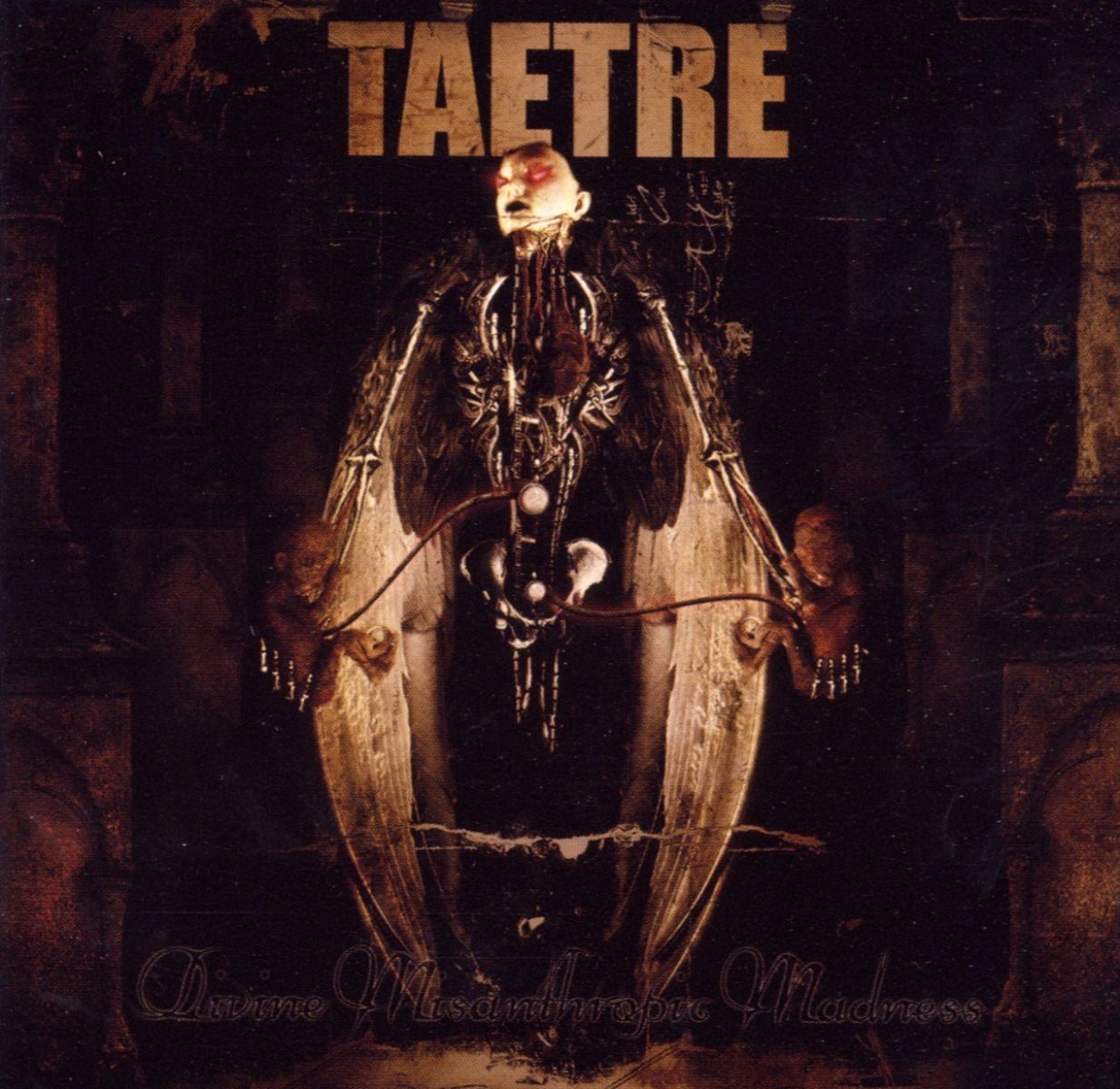 Afbeelding van Taetre - Divine Misanthropic Madness